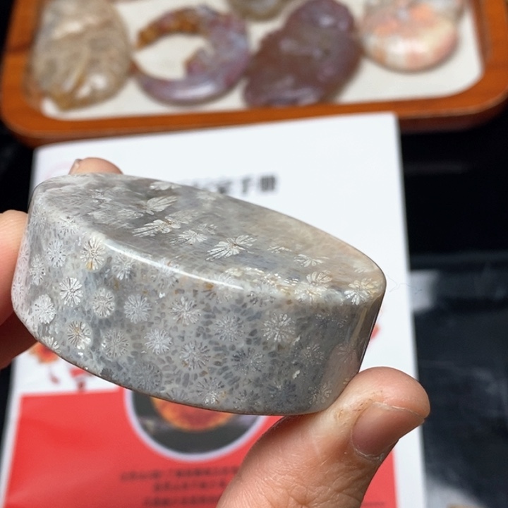 硅化珊瑚（珊瑚玉）手镯未镶嵌