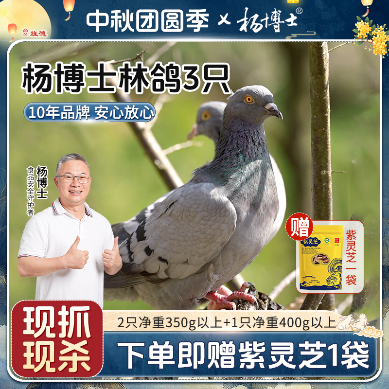 杨博士【三只皖南林鸽】皖南林间鲜嫩散养鸽子营养煲汤新鲜