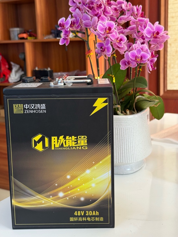 48V30AH磷酸铁锂两轮三轮车电动车锂电池续航升级
