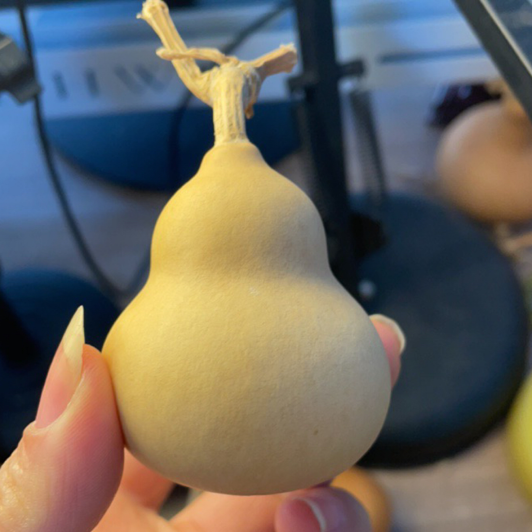 纯自然生长大厚皮小葫芦手把件适合盘玩