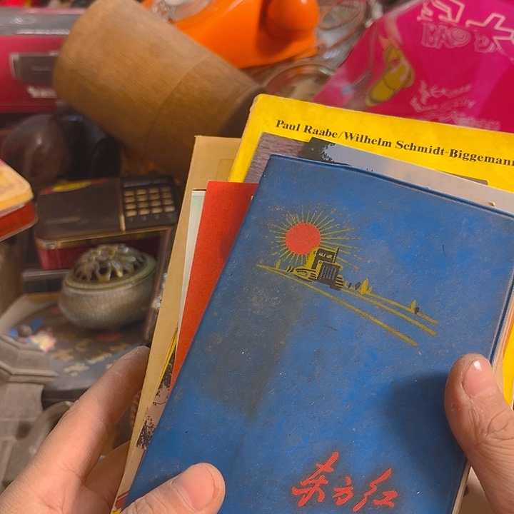 杂色豆（科檀/科特迪瓦檀木）食**哥