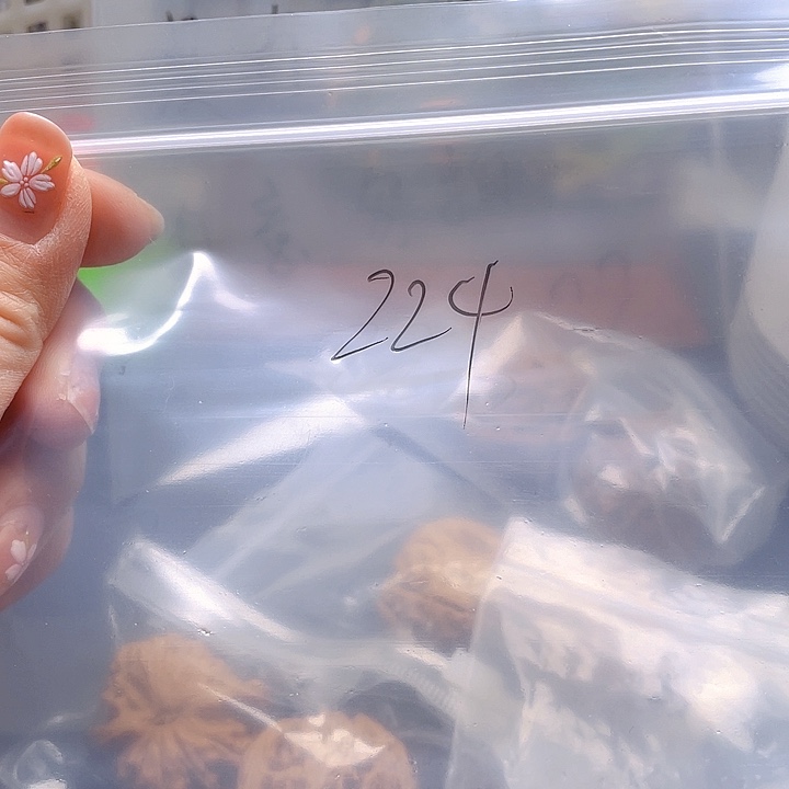 文玩核桃吊坠文玩224