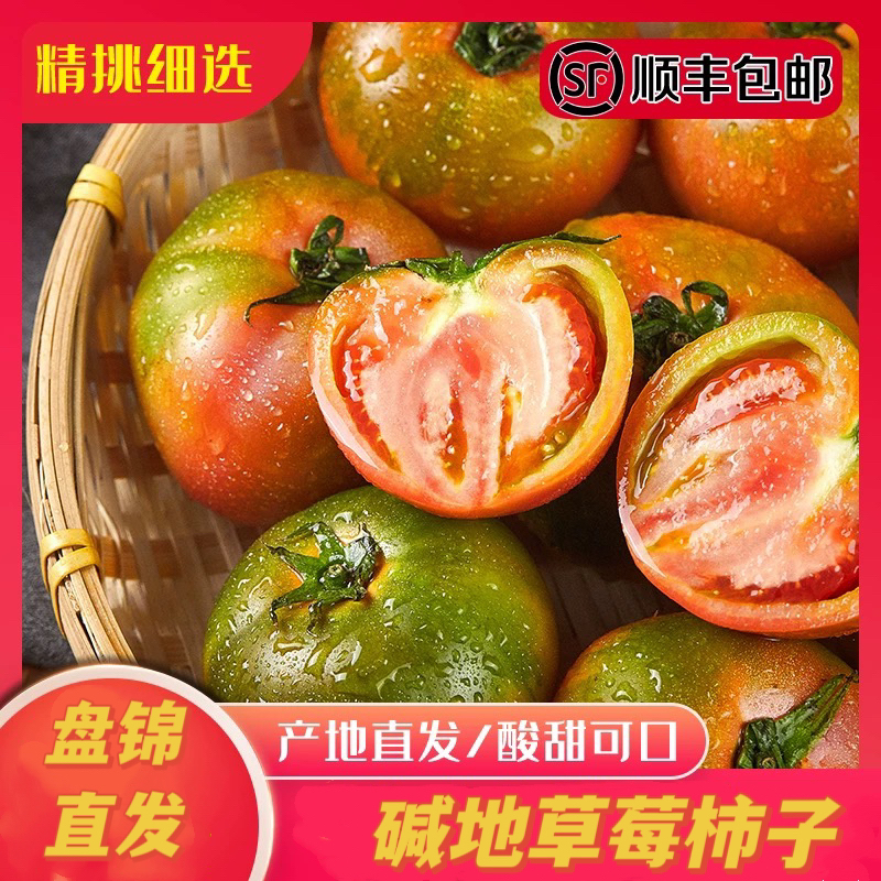 《小军严选》草莓柿子 盘锦碱地柿子绿腚 （大小混发）