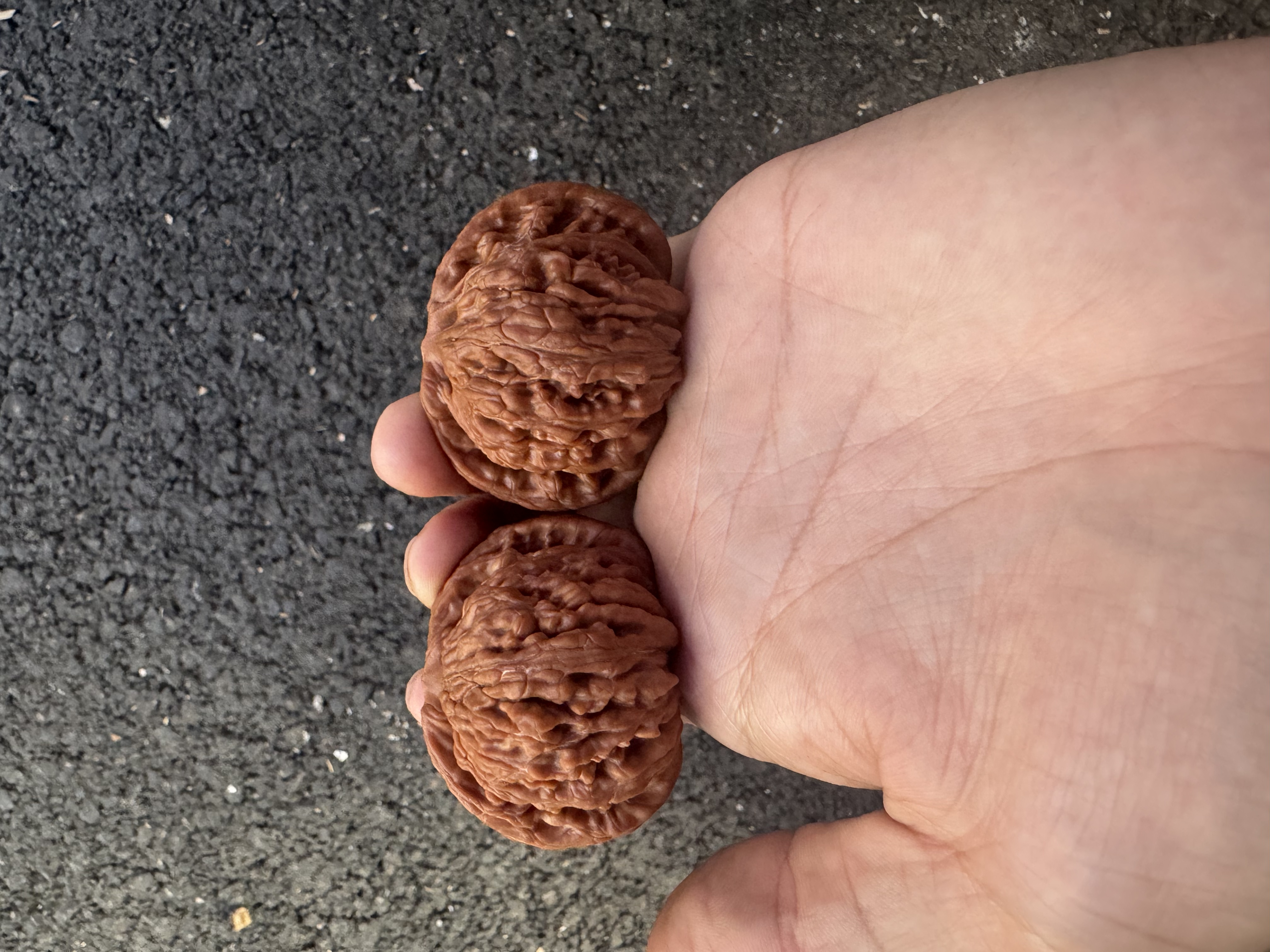 （直播间选购）核桃，专属链接，一物一图，看好再拍，秒拍秒退秒拉黑