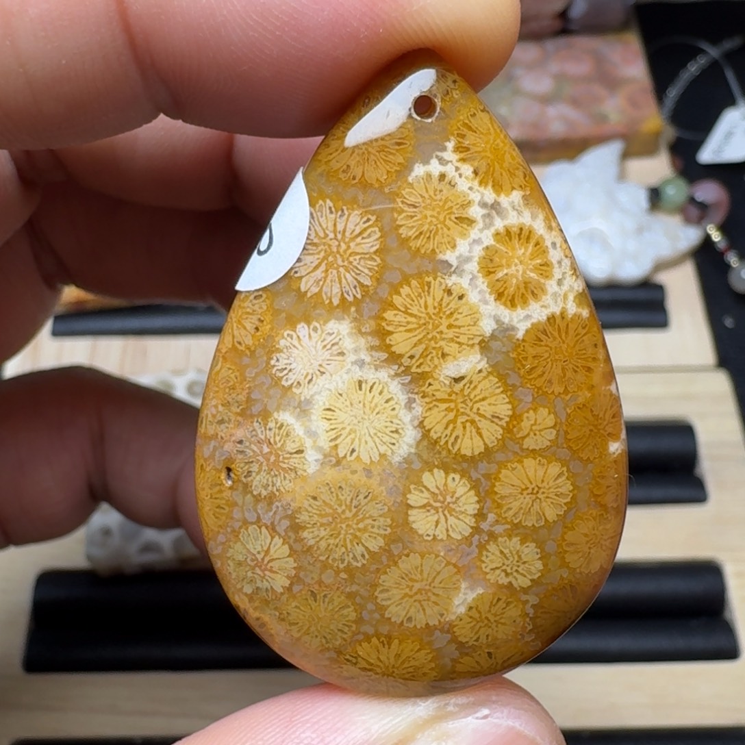 未镶嵌纯天然色有机玉石保真色硅化玉