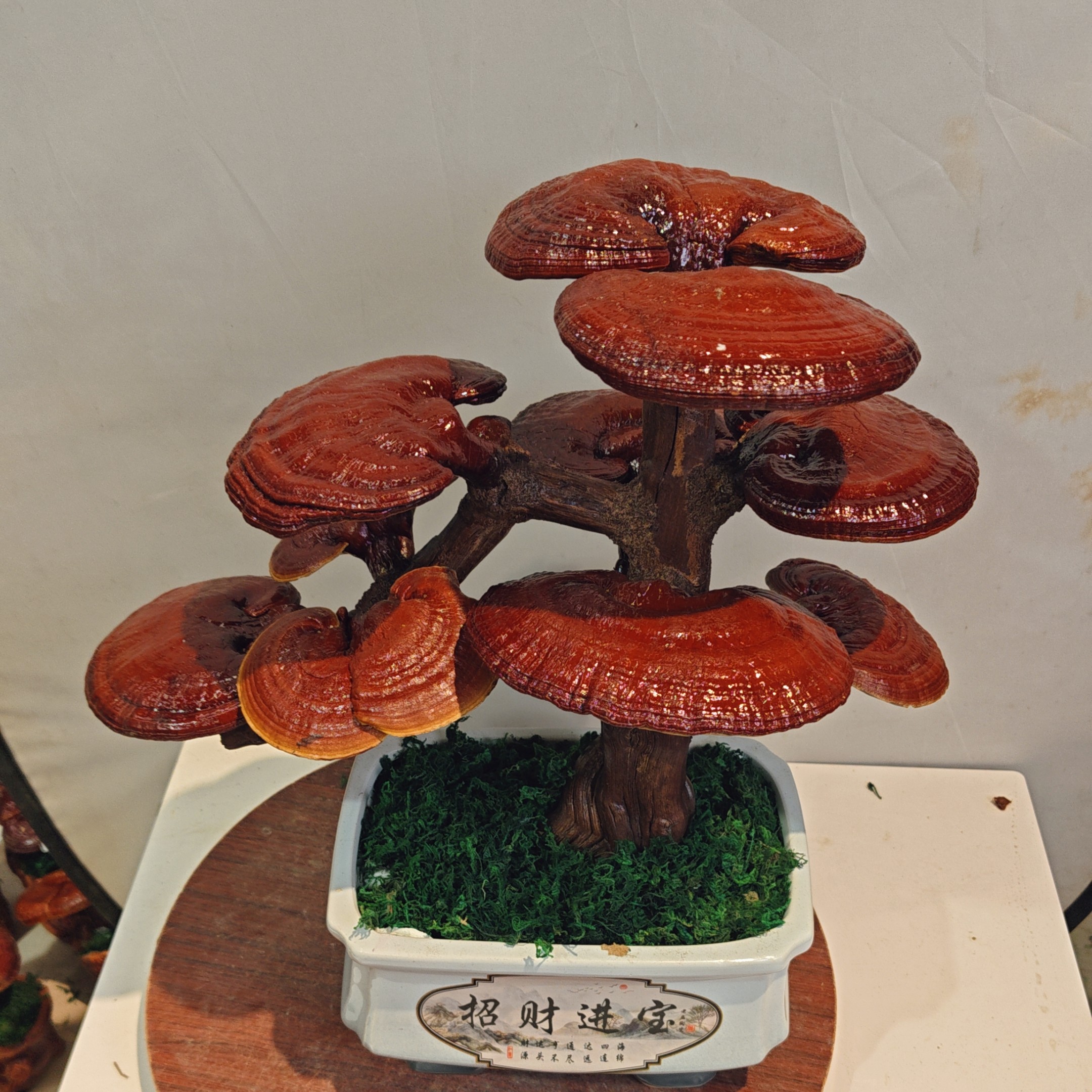 灵芝盆景高端大气上档次