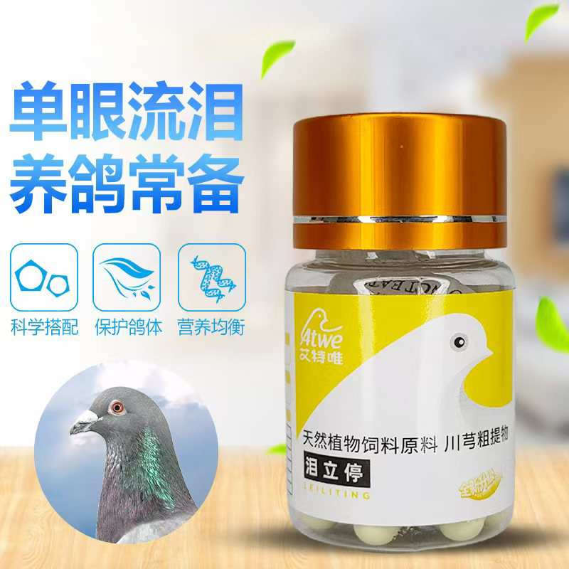 泪立停 治疗单眼伤风仅需一粒