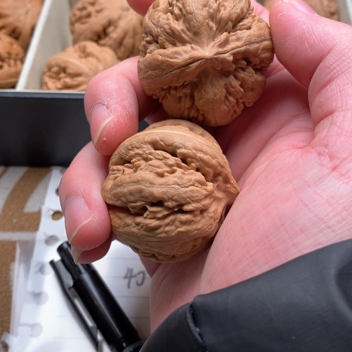 吊坠文玩核桃风**枭