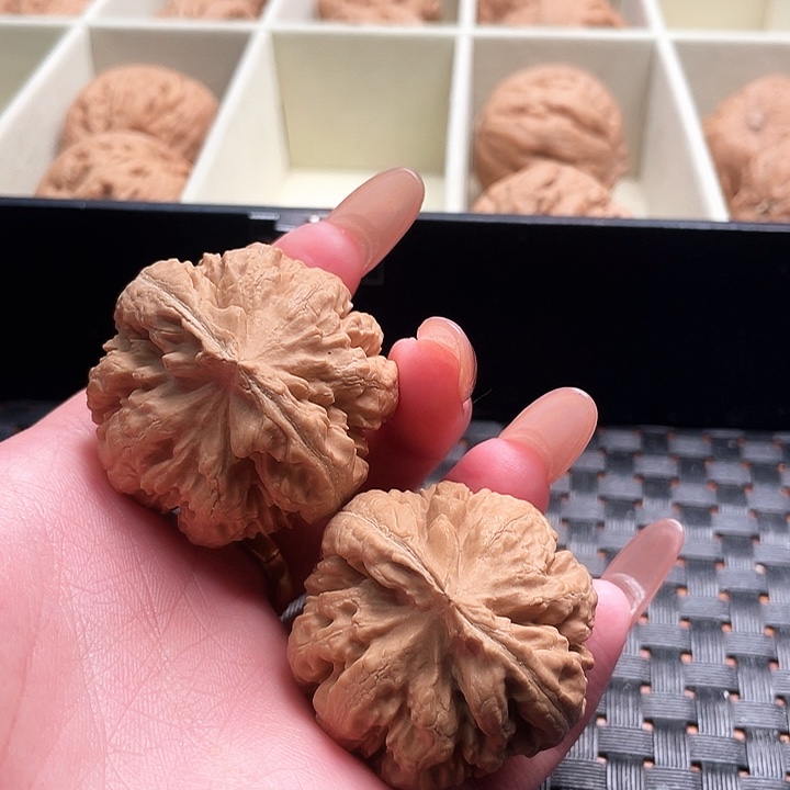 展***丶霸王龙核桃尺寸39
