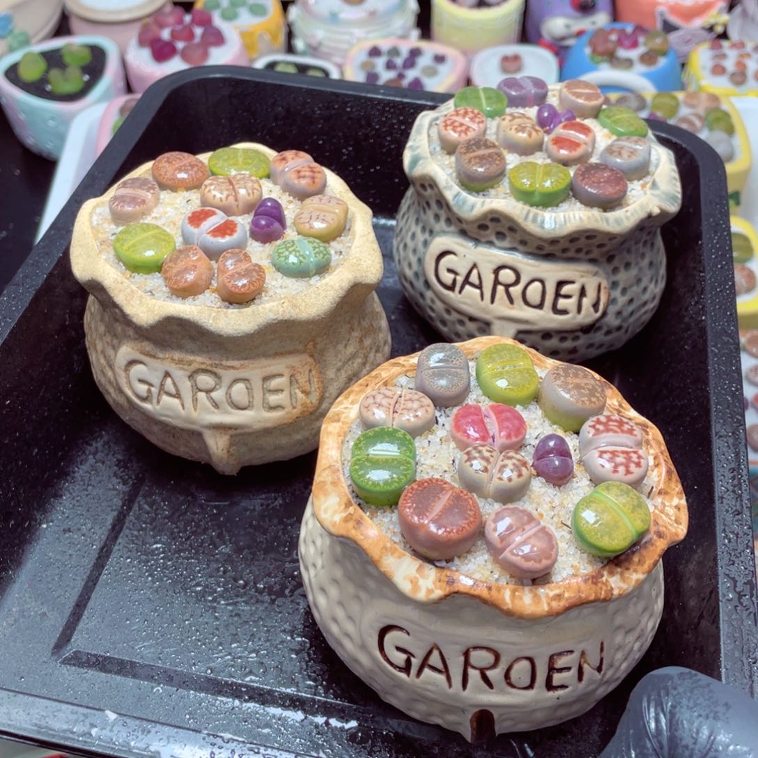 w33333-钱带子一份一盆量拍