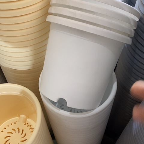 树脂四季4号10个带托白色