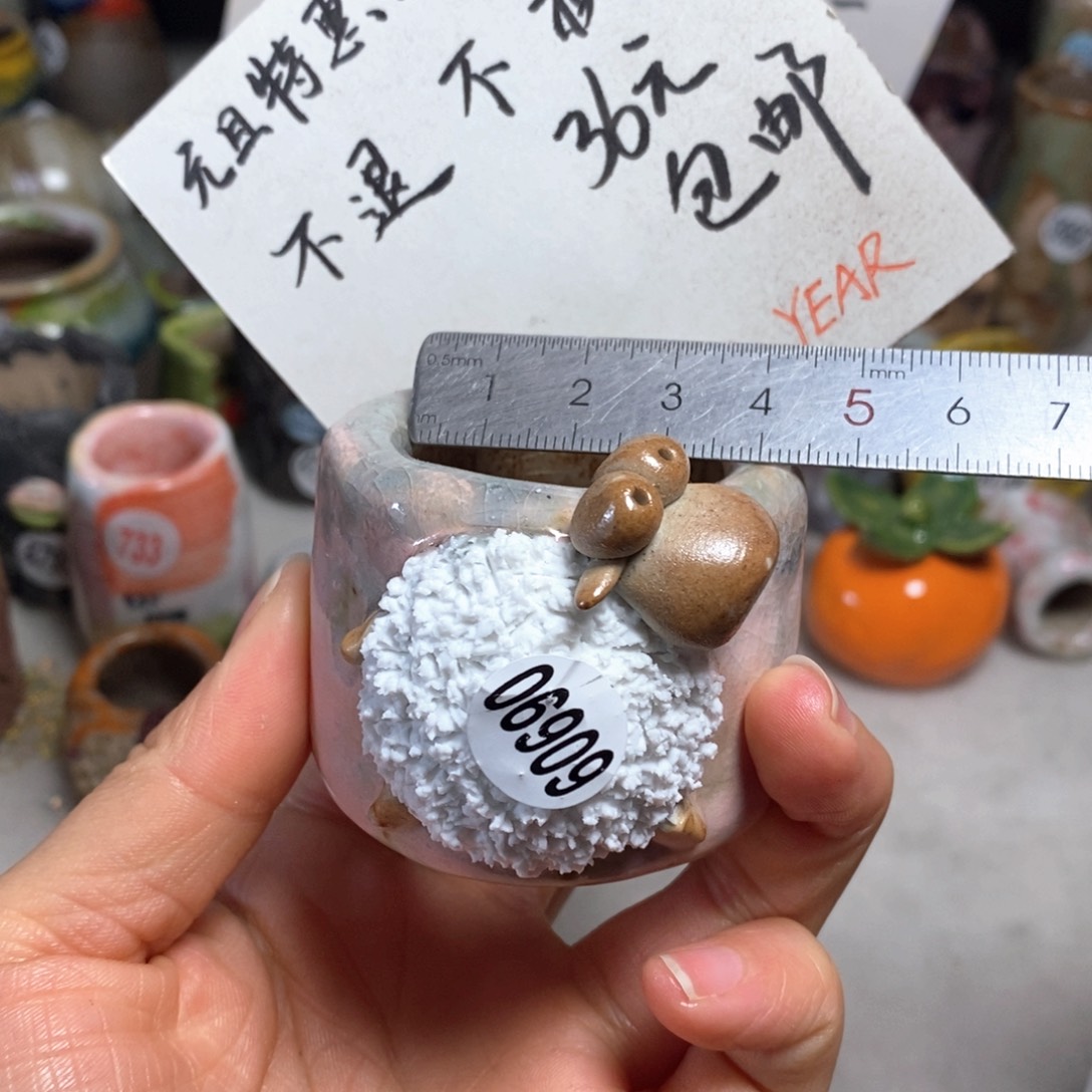 花盆特价不退不换，原价78元