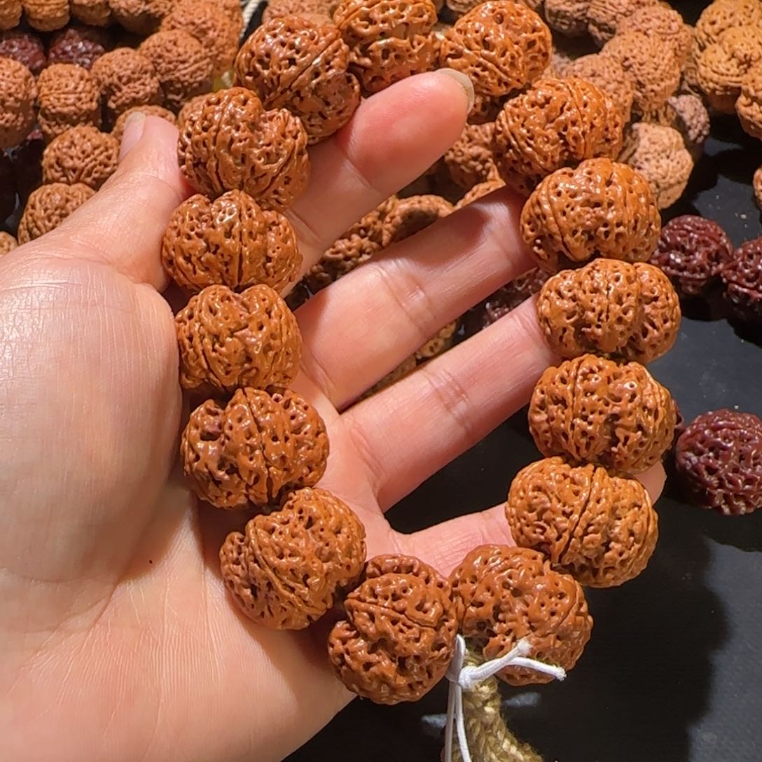 金刚菩提手串22梅花龙牙