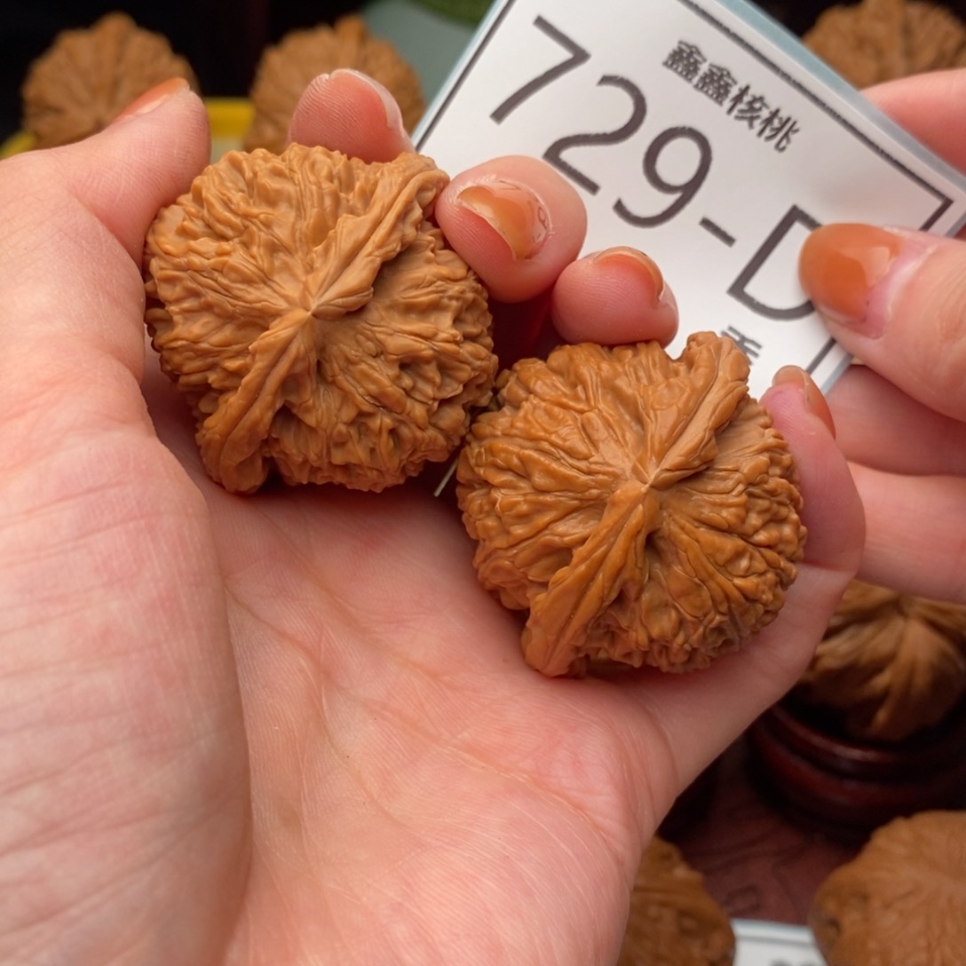 文玩核桃把件白狮41