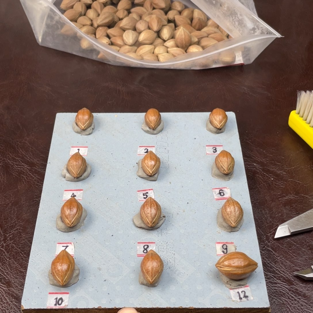 手串/手链橄榄核L**J13.22水晶核三面佛加四花三通