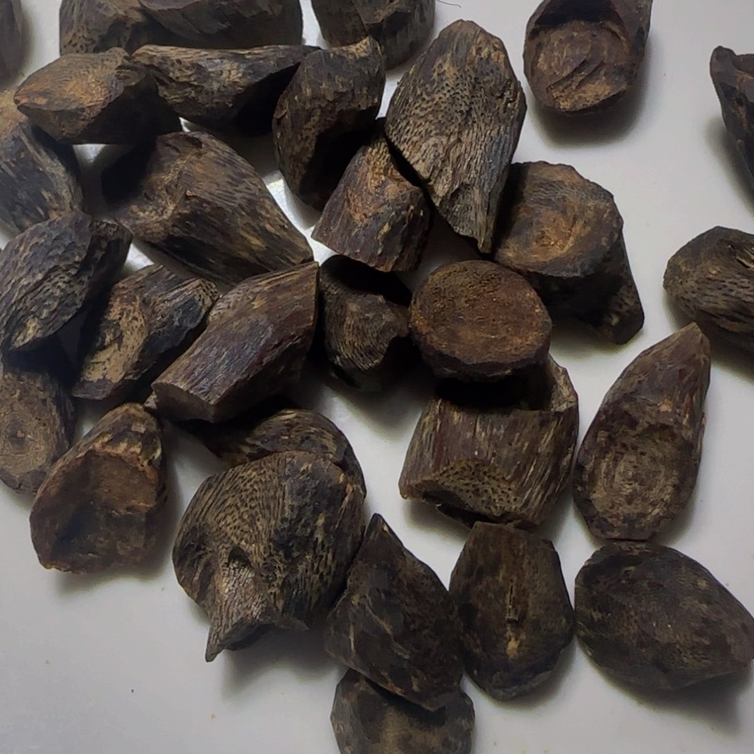 沉香手把件民****藏奇楠沉香天然沉水树丁35克