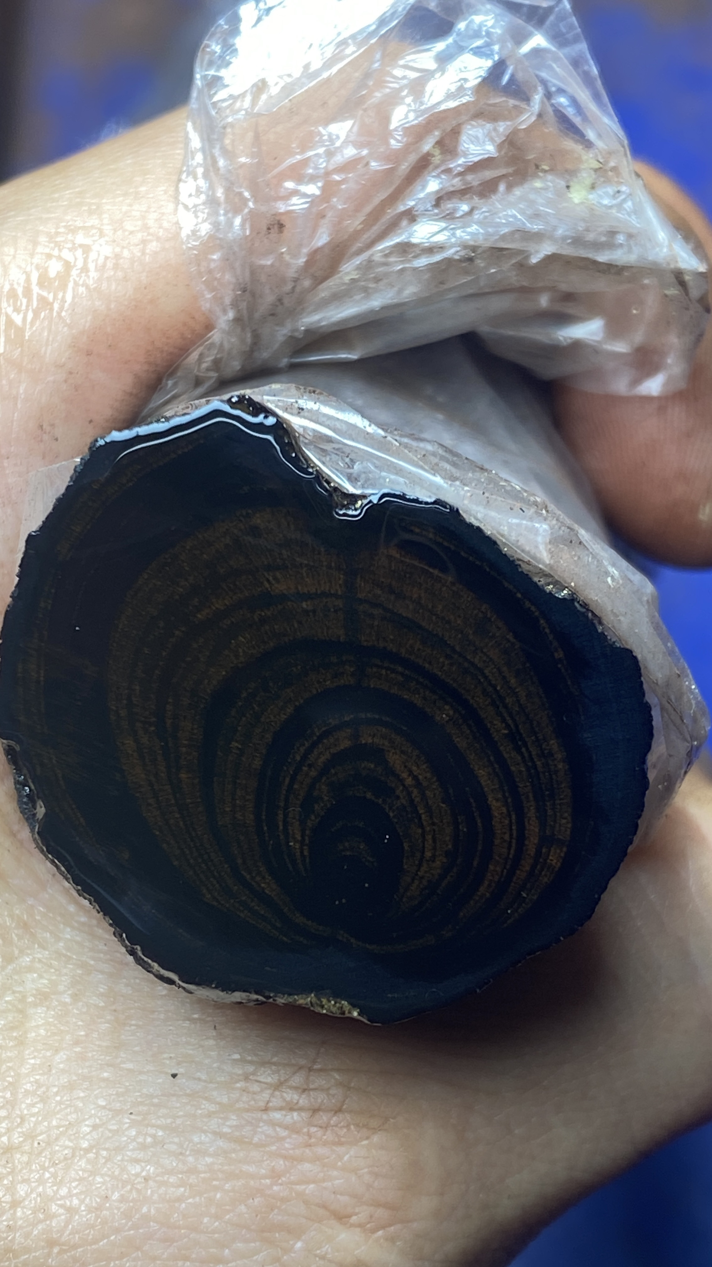 海岛料黄花梨蜘蛛纹理一物一拍所见所得需要联系客服下单