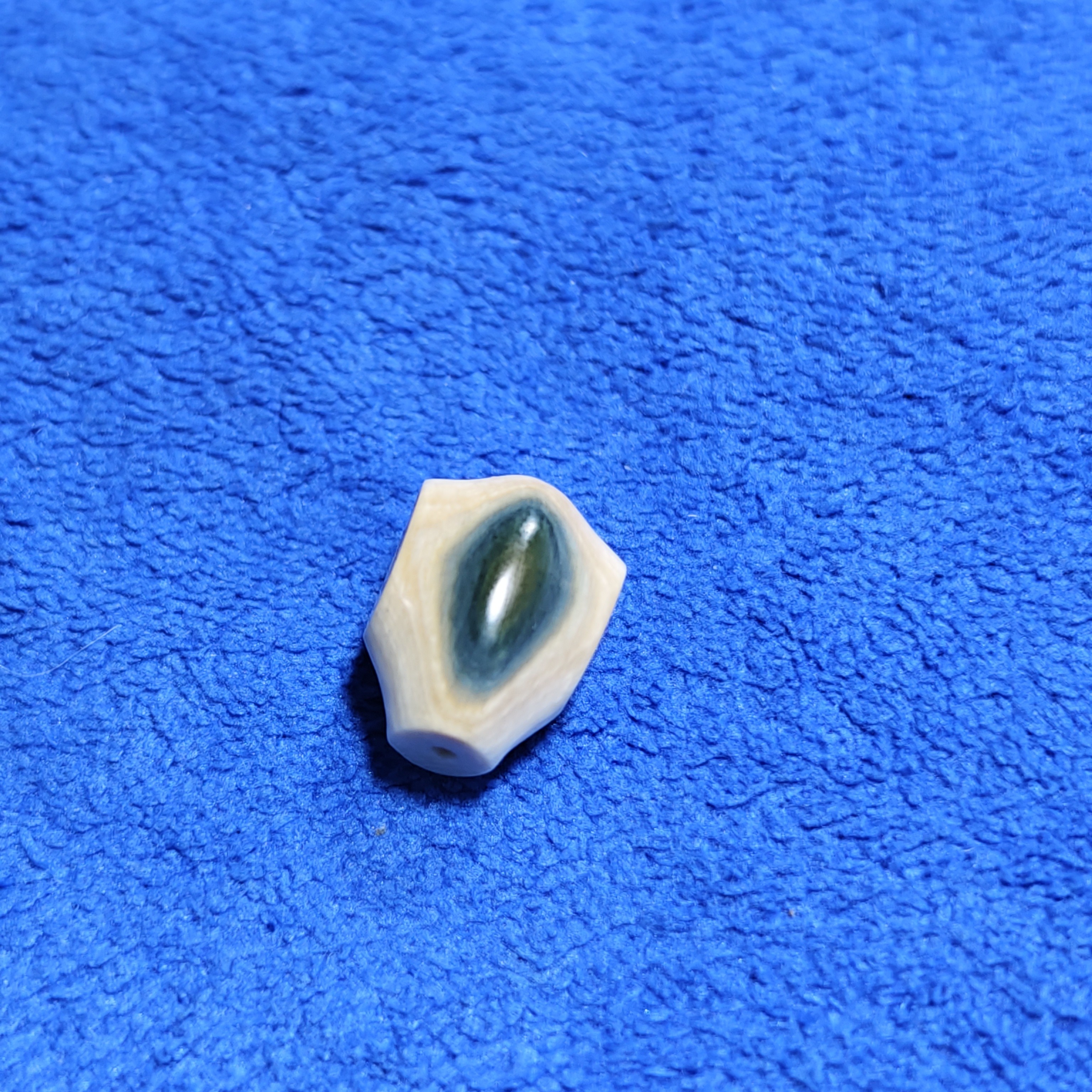 猛犸牙蓝眼睛鲨鱼背三通支持复检文玩配饰收藏级好物