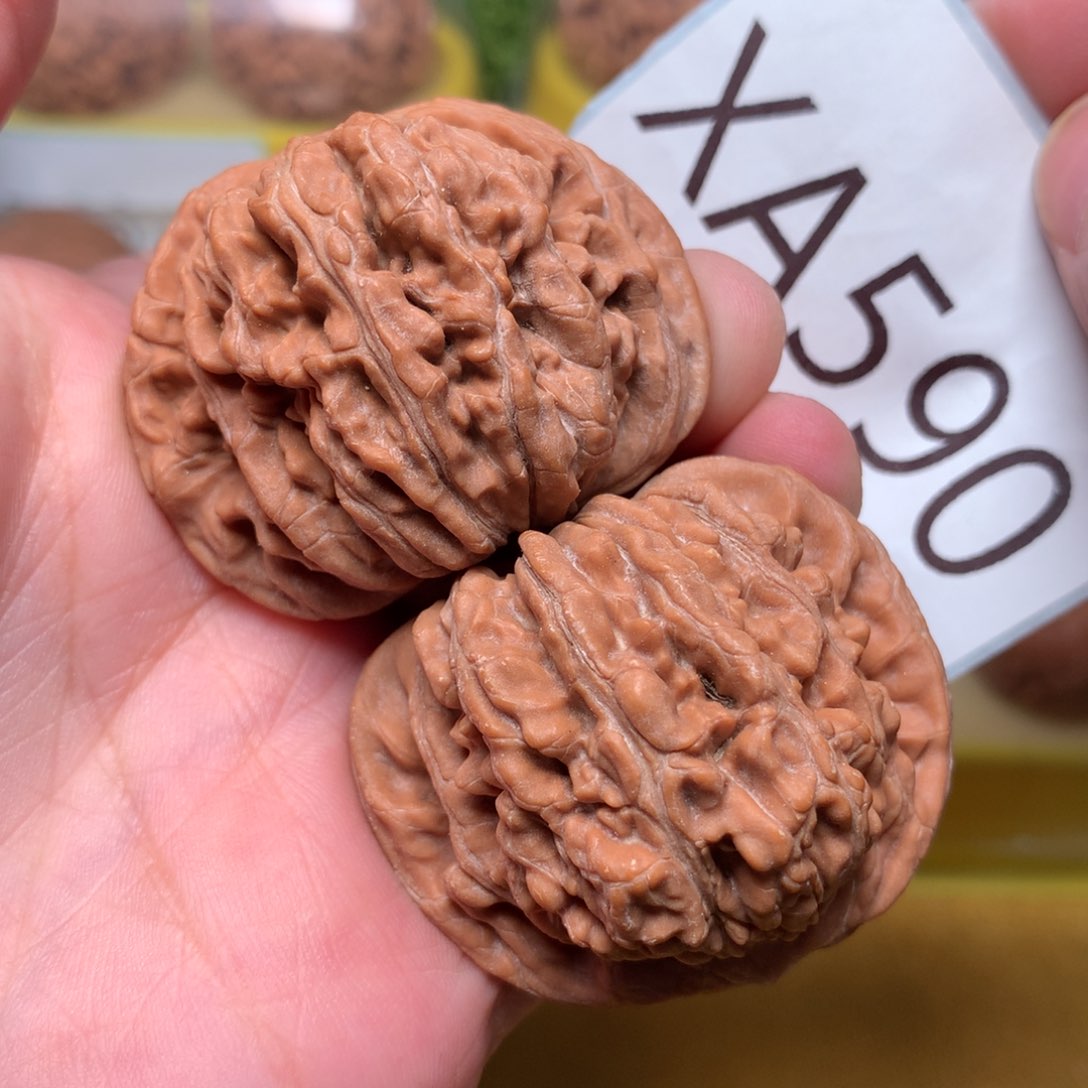 文玩核桃把件毕业汉高楼44