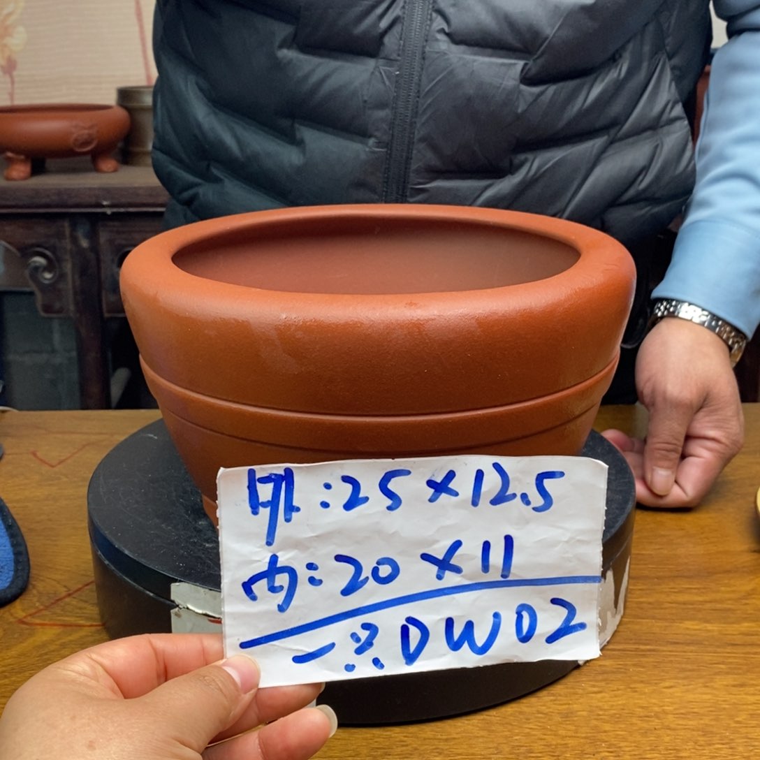 红陶货号一只DW02