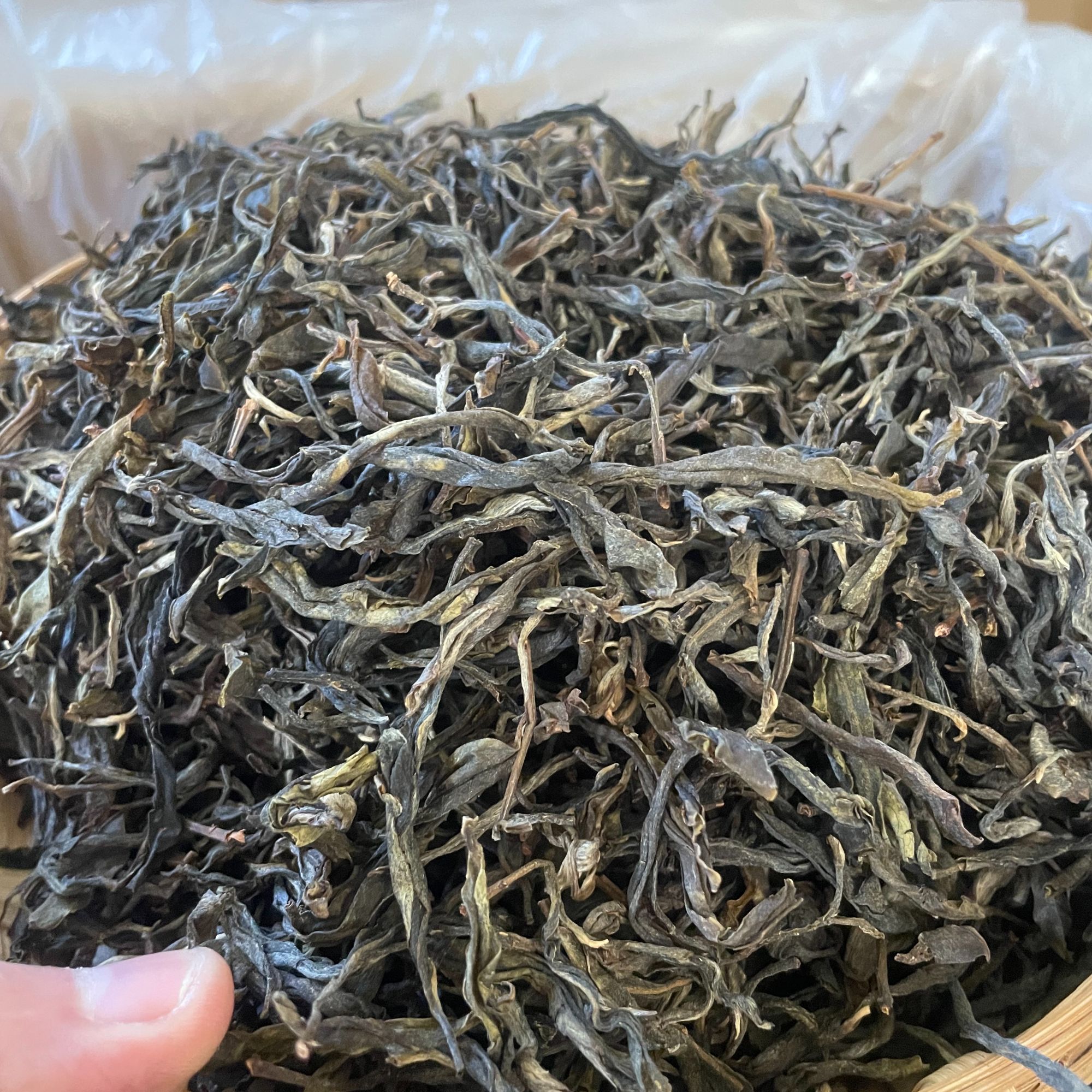 大朝山古树纯料普洱生茶#2018年
