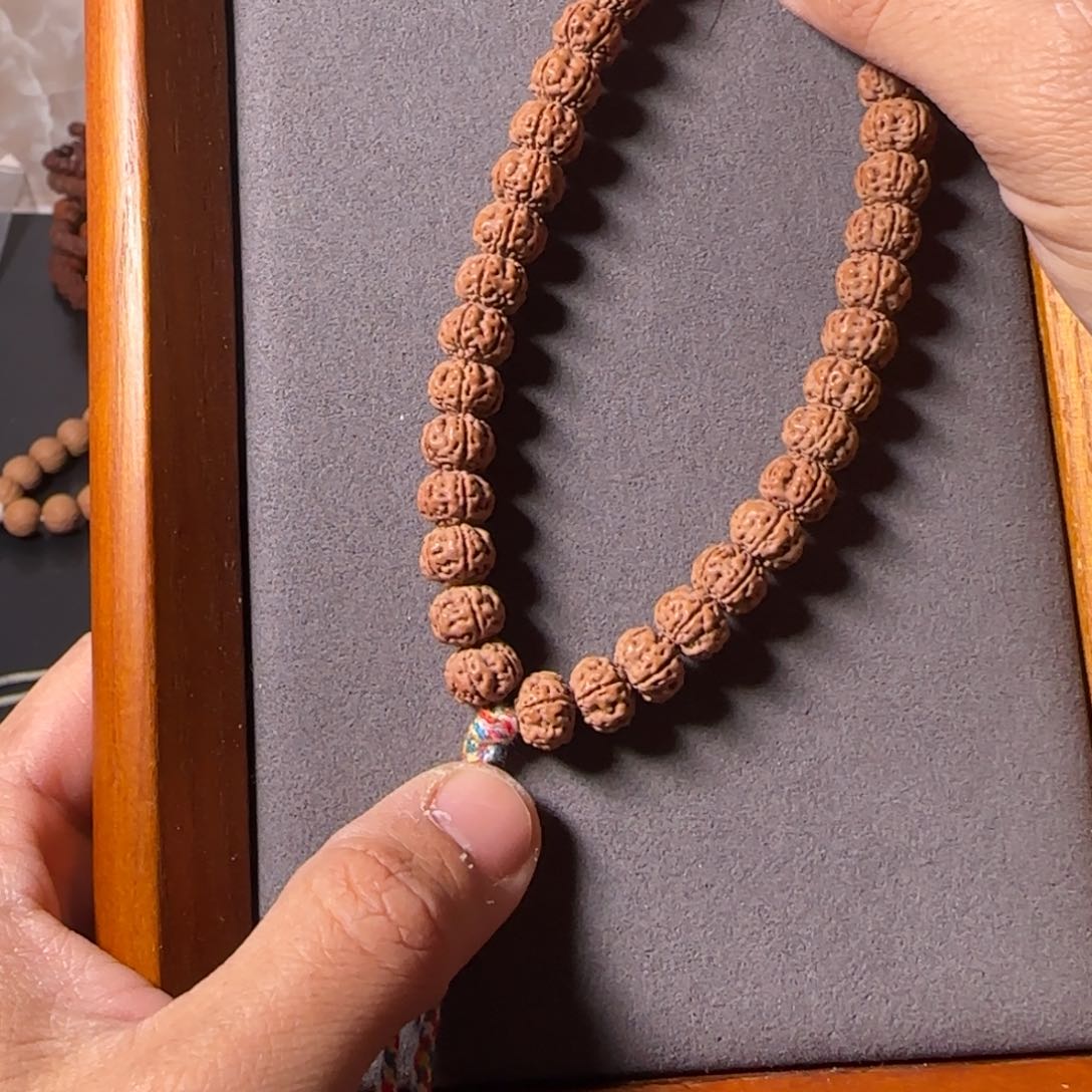 金刚菩提手串老树王10左右