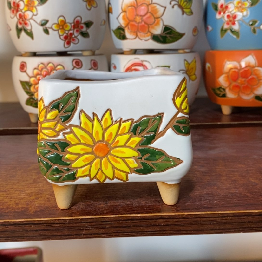 红陶韩式多肉植物花盆