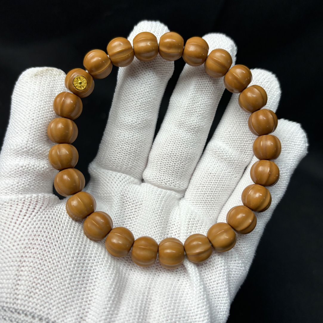 毕业款猴头，鲨鱼鳍系列，全品无暇