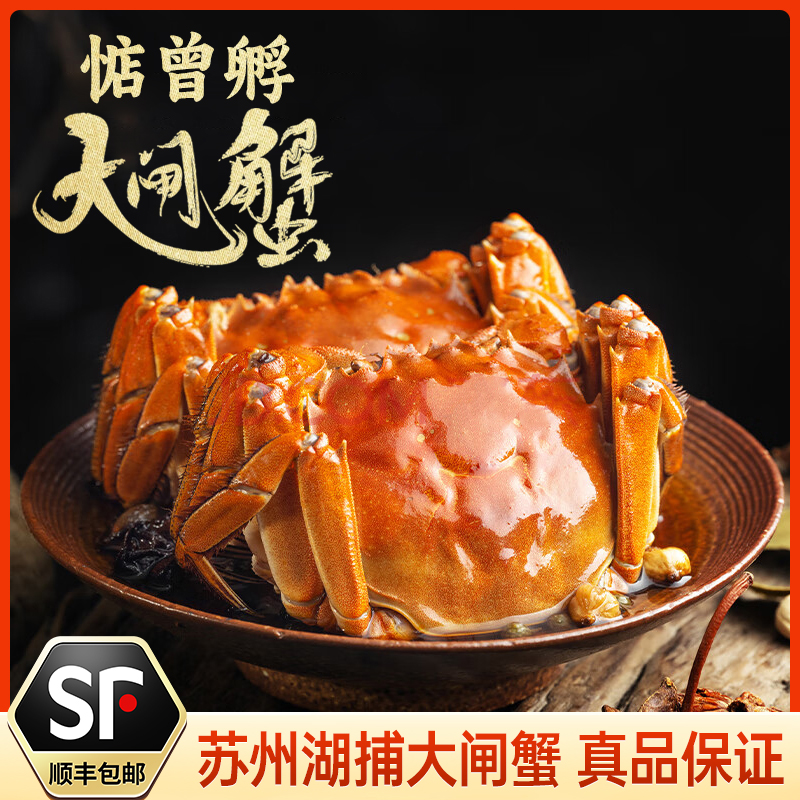 【活蟹】江苏精品大闸蟹，4.1~3.7两全母蟹，共8只