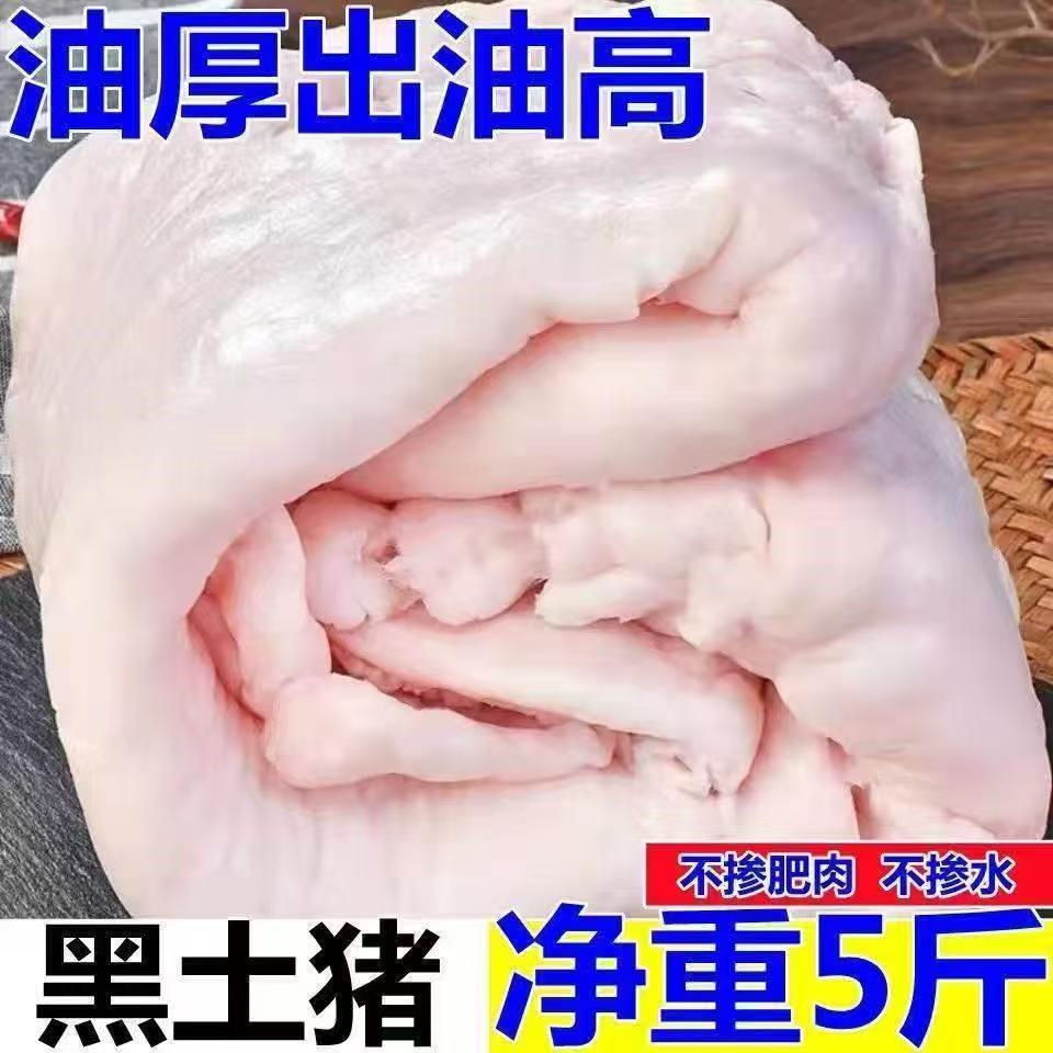 Y【猪板油】到手五斤 冷链包邮