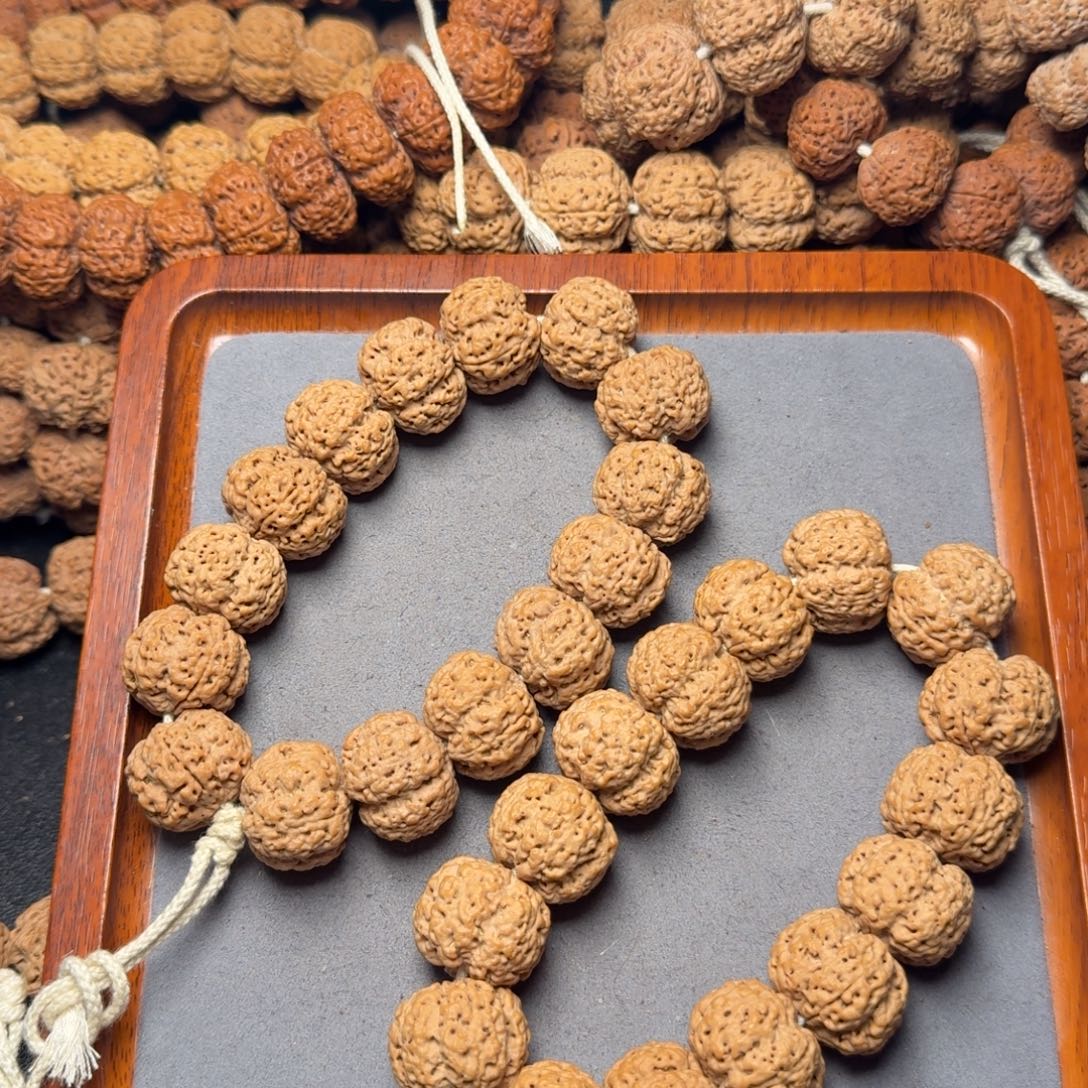 小***丶23号尼泊尔大金刚23粗筋梅花五龙梁