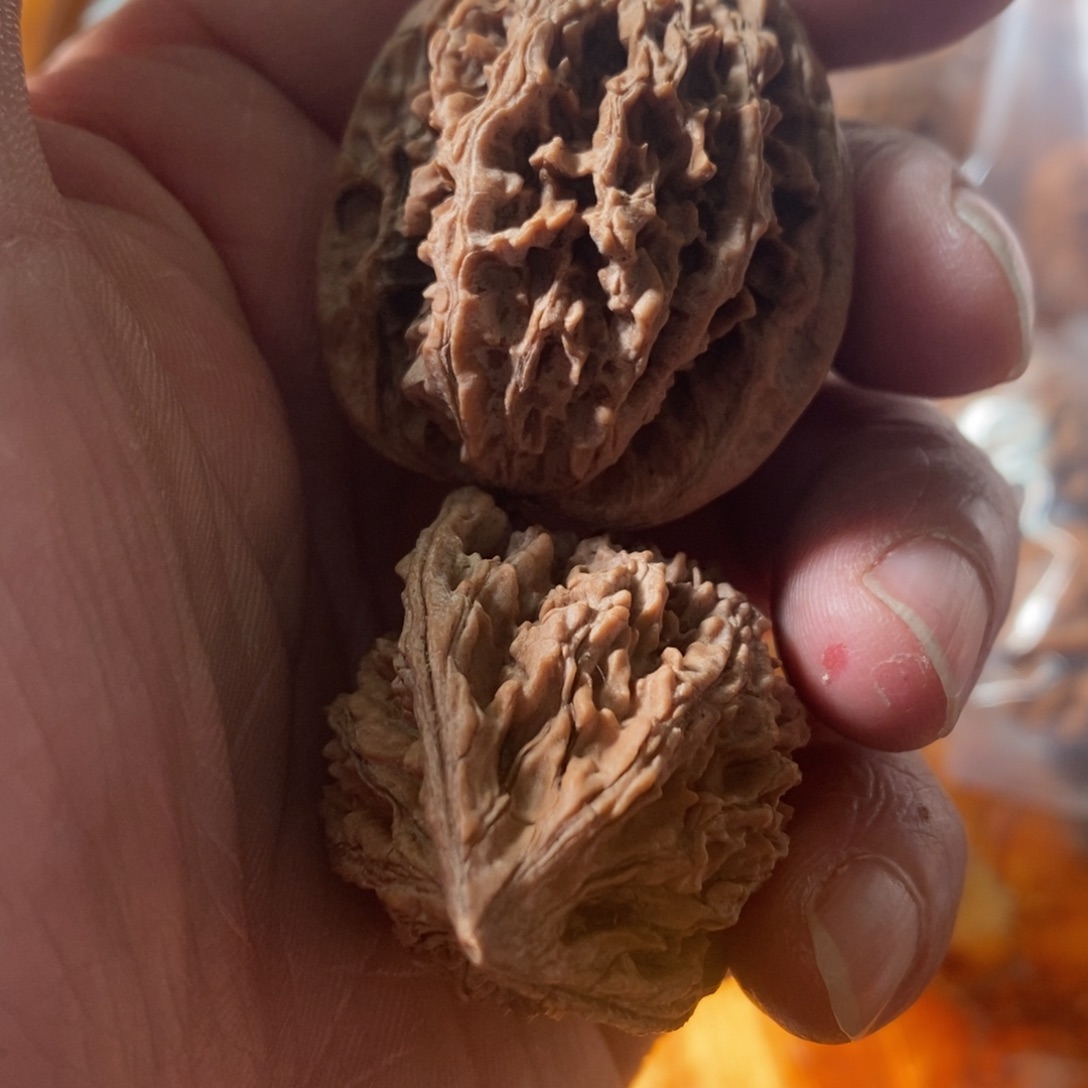 秦岭南北缘是指长江