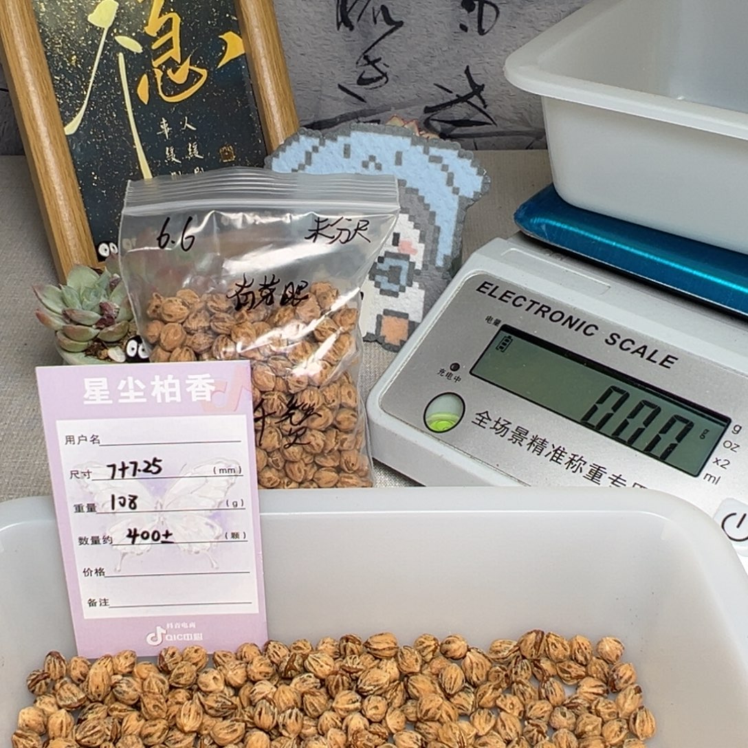 柏香籽/百香籽吊坠