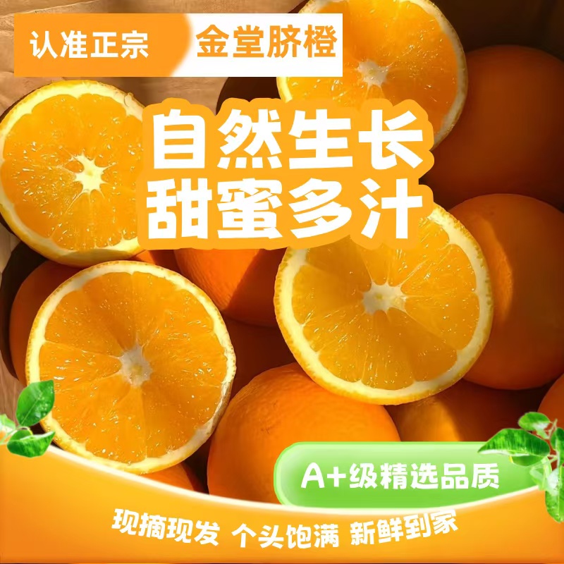 四川金堂脐橙，肉质细嫩汁多无核，香气浓郁自然生长