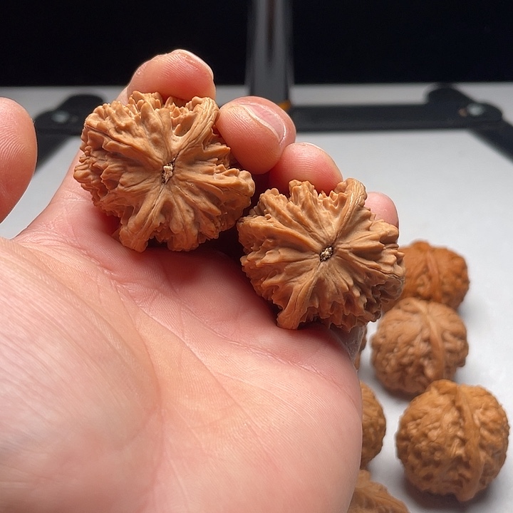 吊坠文玩核桃大*胖粗筋马蹄