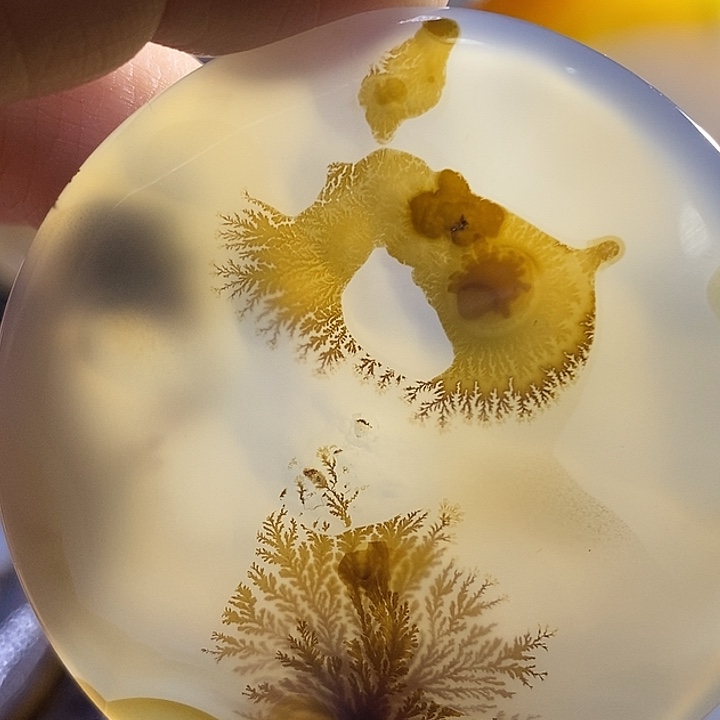 未镶嵌颈饰玛瑙/玉髓俺**下