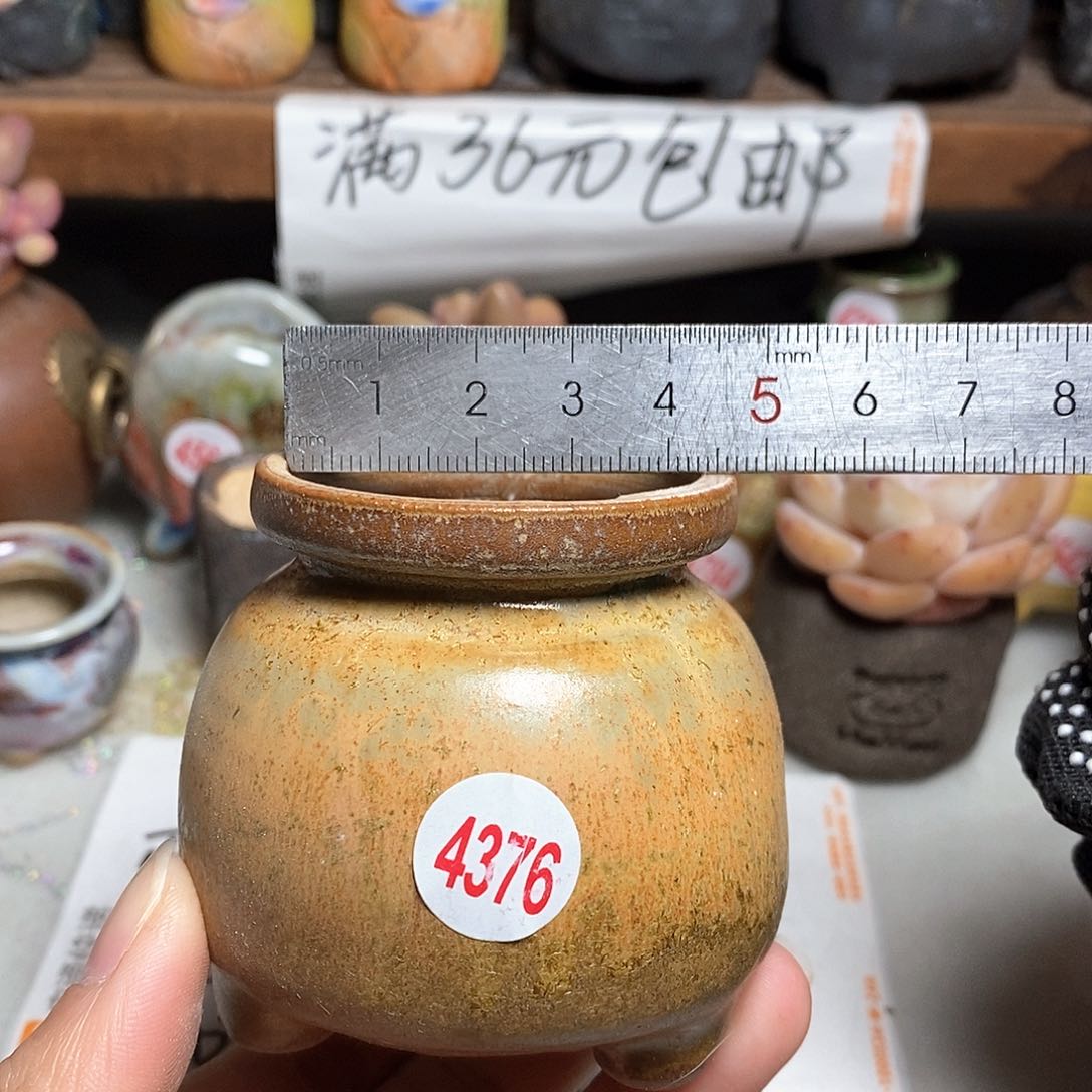 红陶拍5送一个小