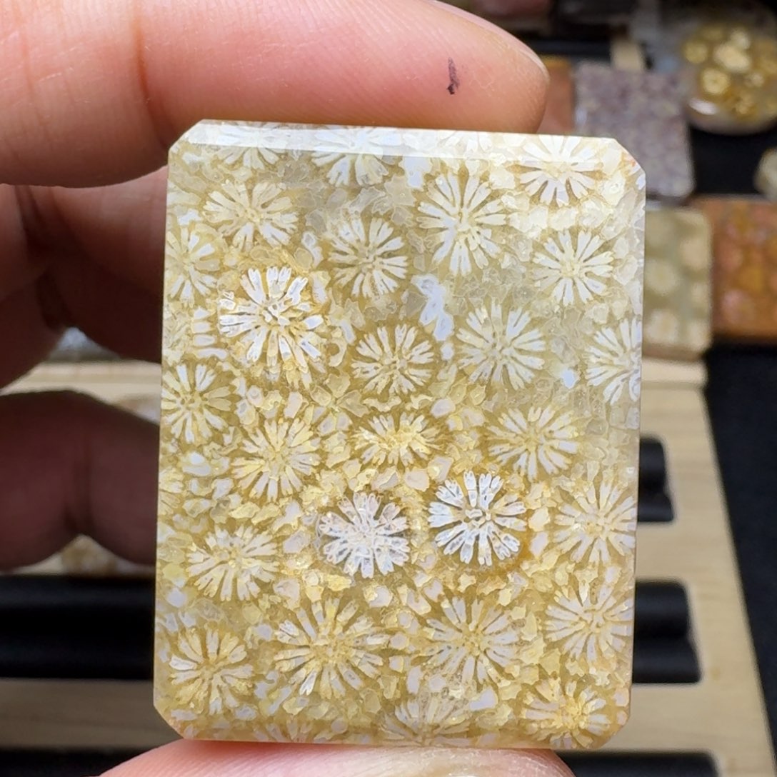 硅化玉未镶嵌纯天然色有机玉石保真色立体菊花