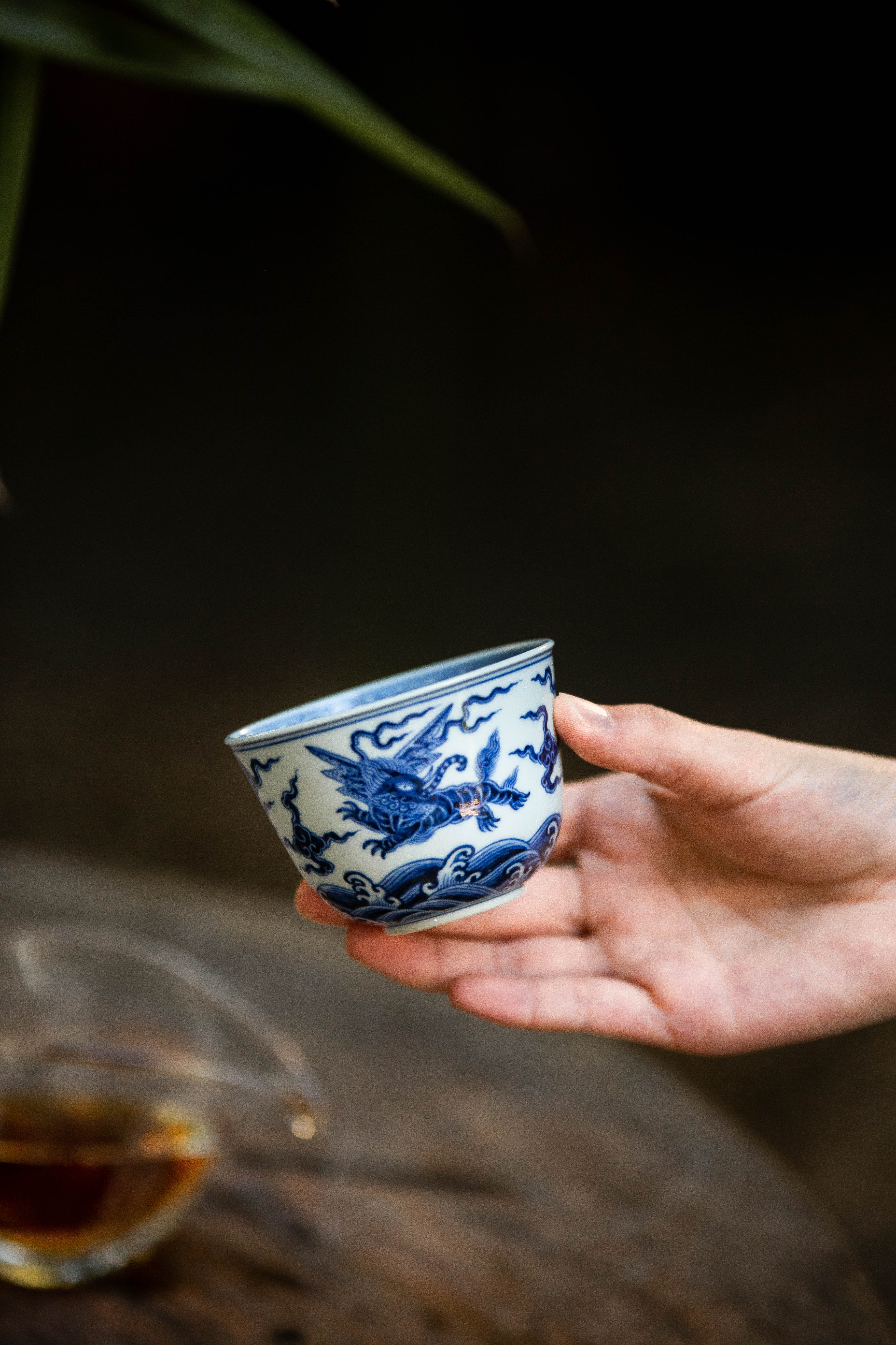 海水飞象莲子杯红线价