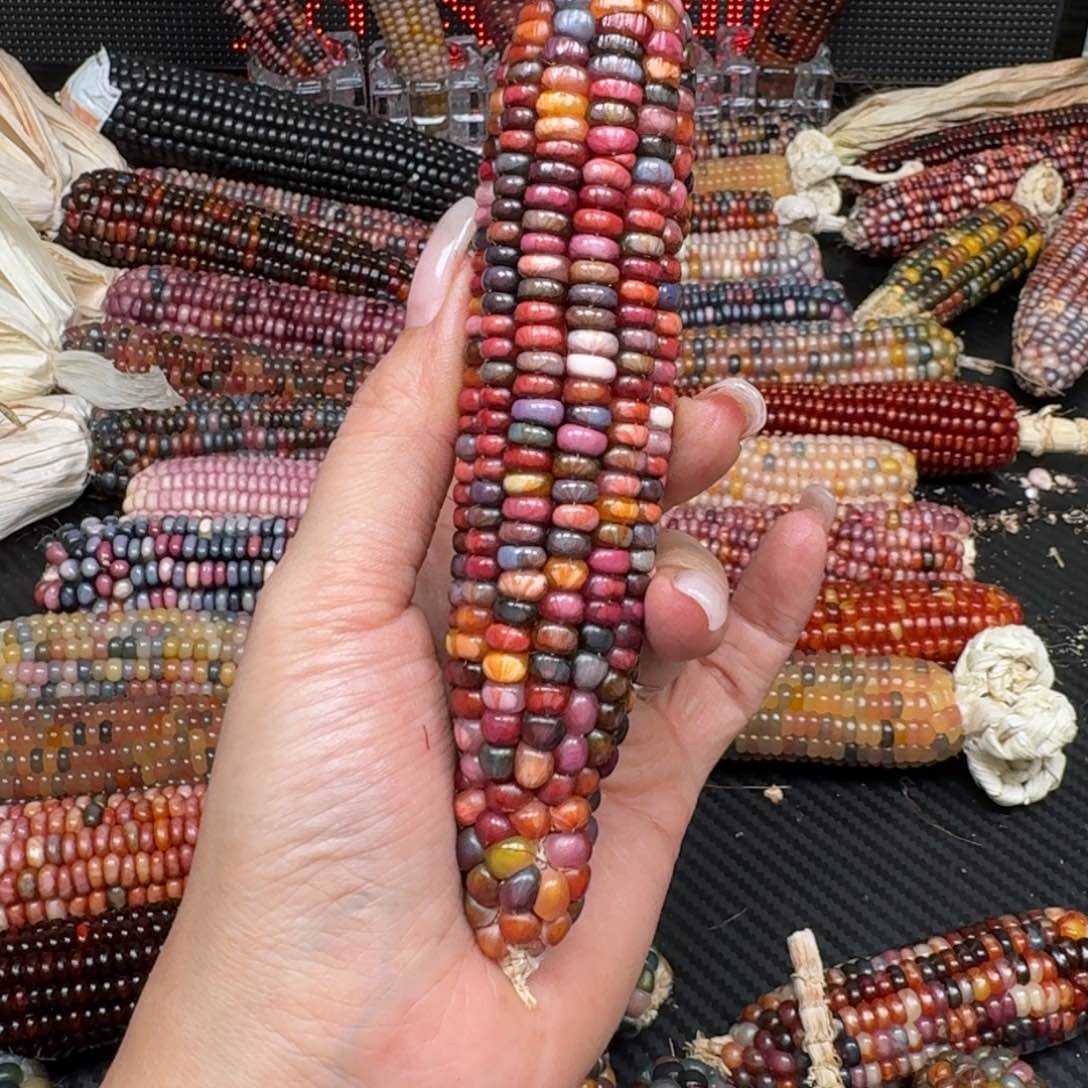 柏香籽/百香籽吊坠陆*