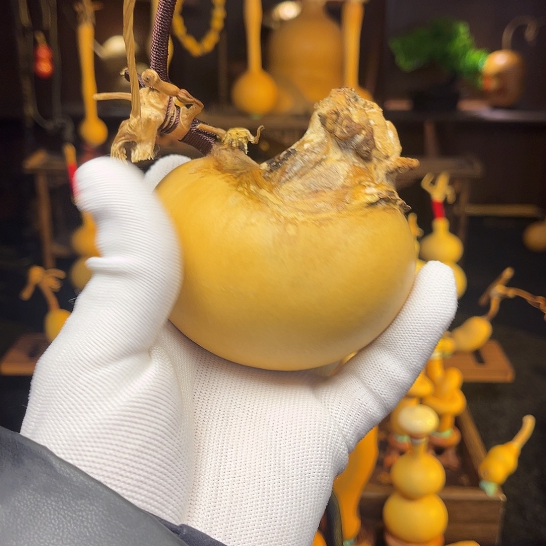 卍***卍我要的你给过你家了啊