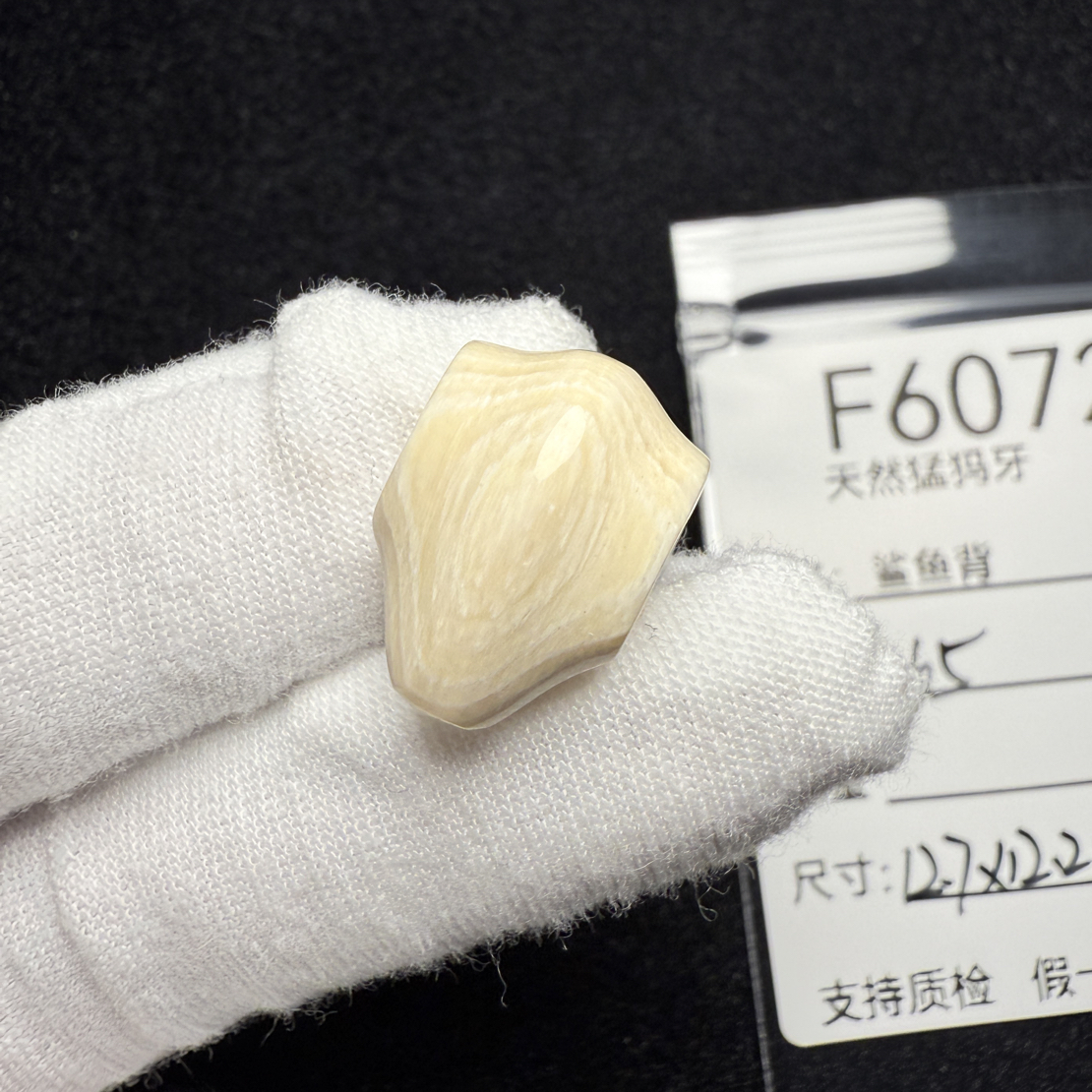 F6072猛犸象牙芝士皮鲨鱼背三通冰料满纹配饰12.7*12.2*17.8mm