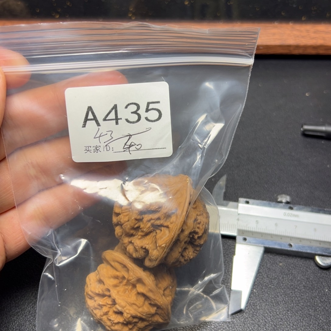 核桃哈哈哈哈我的