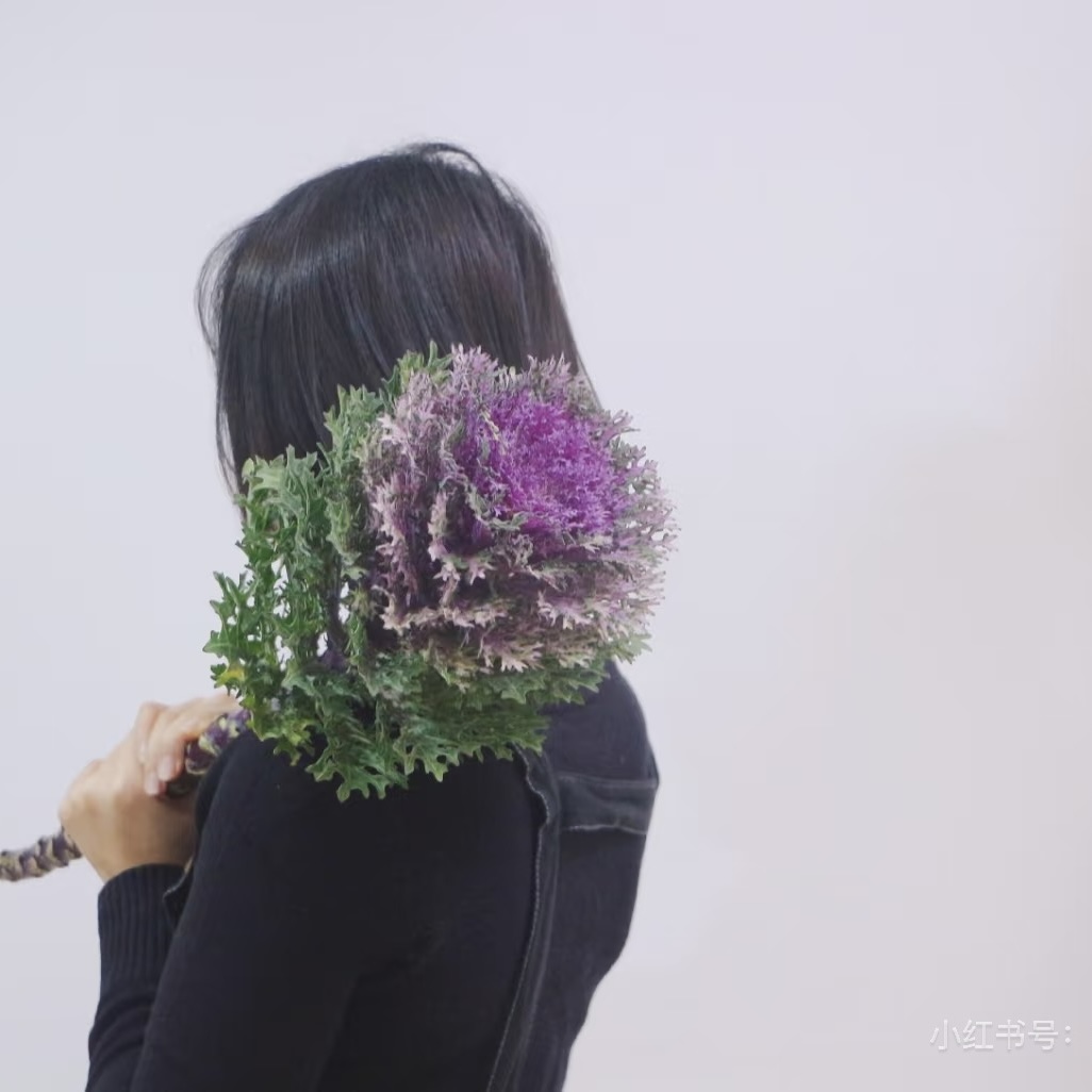【叶牡丹】}高级小众稀有水培鲜花花期超长