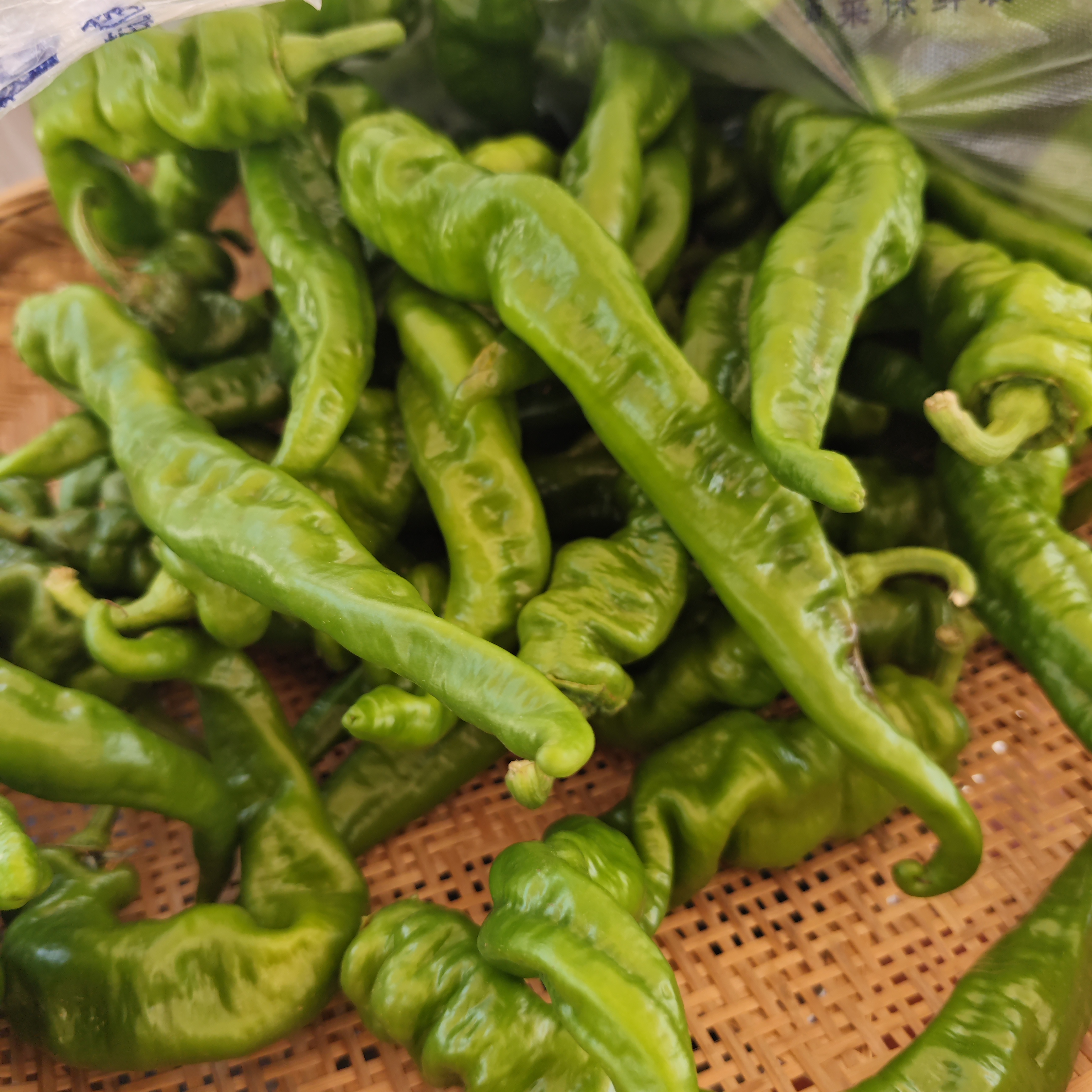 【现摘现发】农户自销新鲜青辣椒