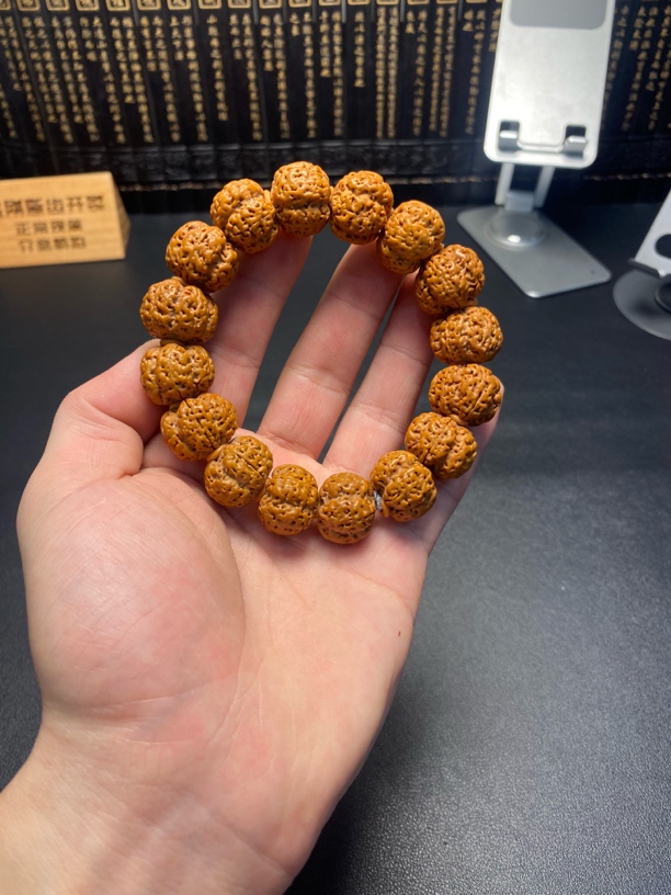 新品大金刚菩提（2号）