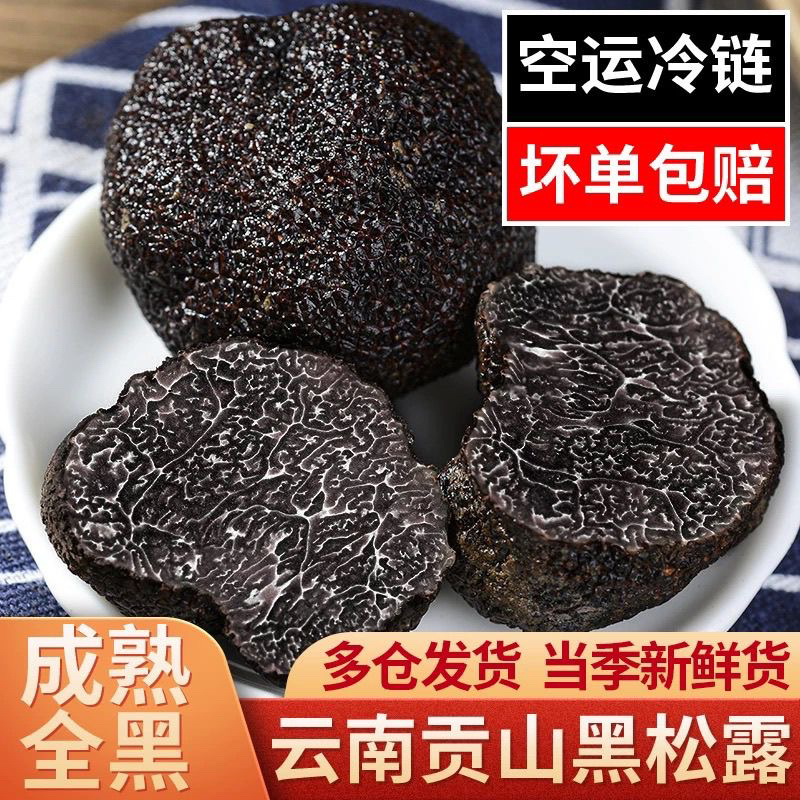 云南高黎贡山新鲜野生黑松露营养煲汤食材刺身