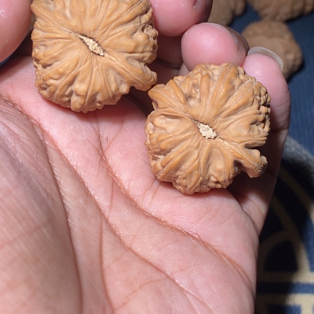 文玩核桃吊坠35尺寸全品无修白狮子