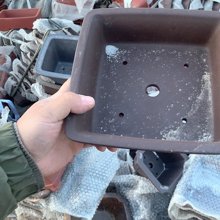 紫砂哈哈真的是太