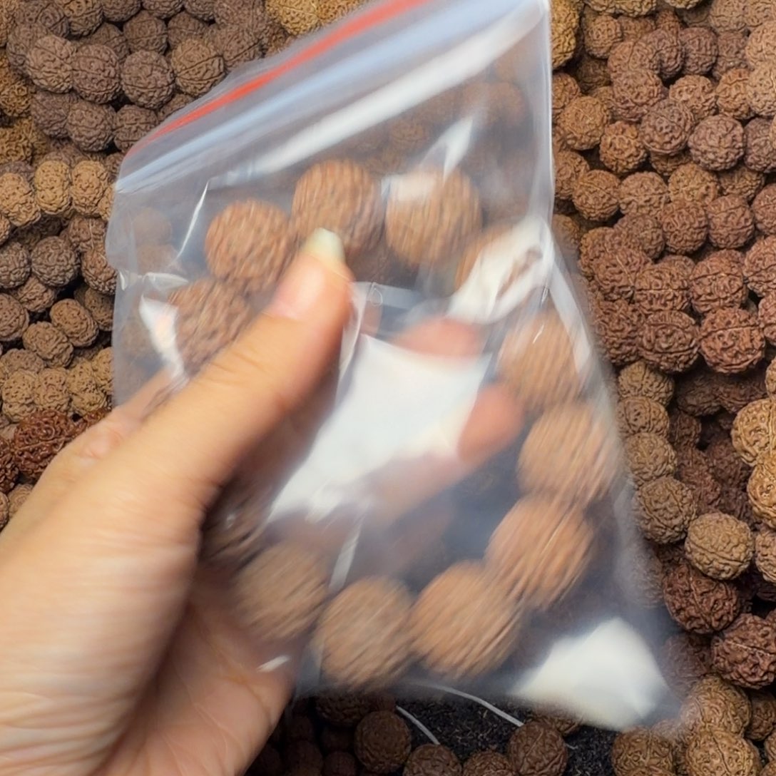 手串金刚菩提8瓣卡20尺，122号